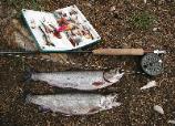 Brook trout on Tube Flies