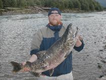 Salmon on the fly