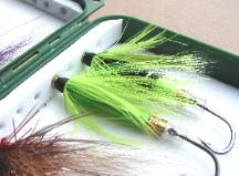 Rainbow Trout on a Tube Fly