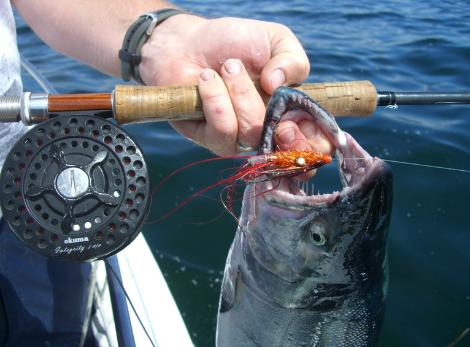 Salt Water Tube Flies for Pacific Salmon